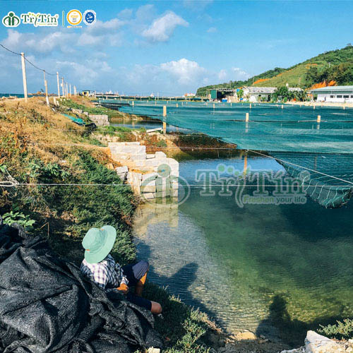 Giới Thiệu Trí Tín - Quá Trình hoạt động của công ty