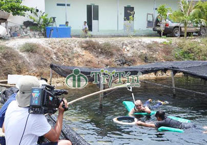 GIAI ĐOẠN BÌNH THƯỜNG MỚI, KHÔI PHỤC SẢN XUẤT