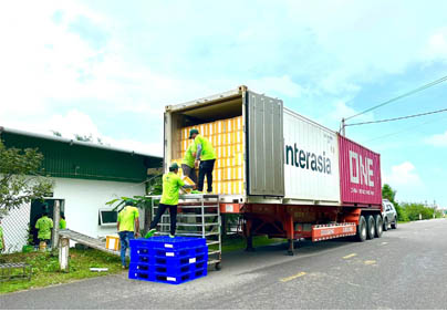 RONG NHO TRÍ TÍN XUẤT HÀNG MÙA DỊCH