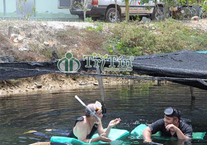 TƯ LIỆU - HÀNH TRÌNH CÂY RONG NHO TẠI VIỆT NAM PHẦN 2