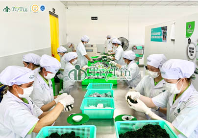 TỪ NHỮNG MIỀN QUÊ - CÂU CHUYỆN RONG NHO