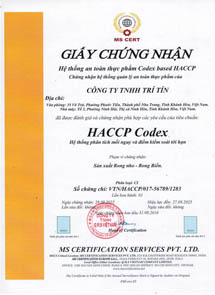 Haccp 2025