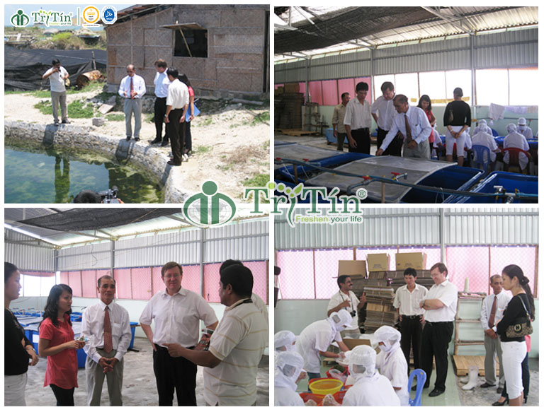 GCF ngài đại sứ Đan Mạch đến làm việc tại công ty