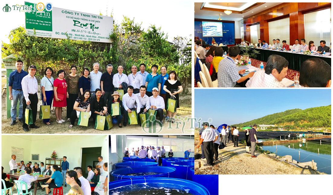 Hội Thảo Quốc Tế về chuyên ngành Rong Biển tại Nha Trang