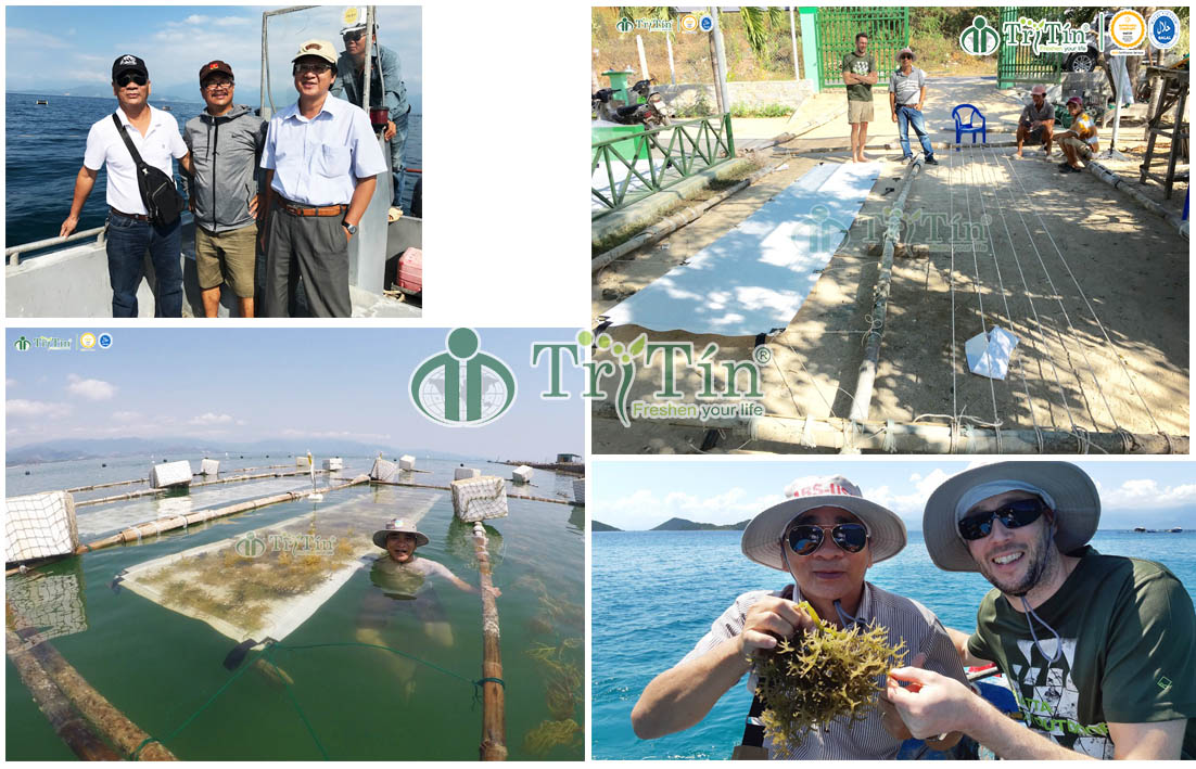 nghiên cứu các mô hình trồng