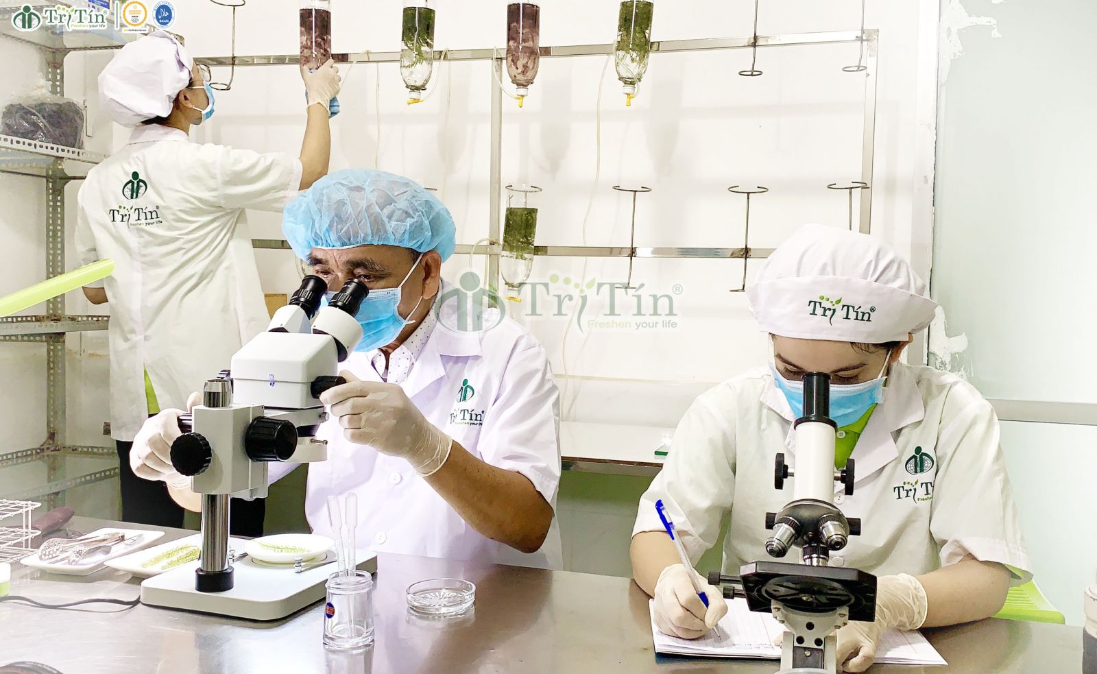 nghiên cứu đề tài