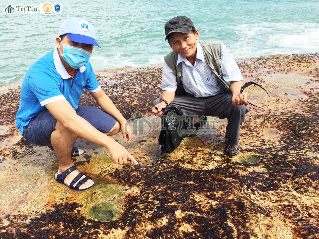 quan sát rong biển