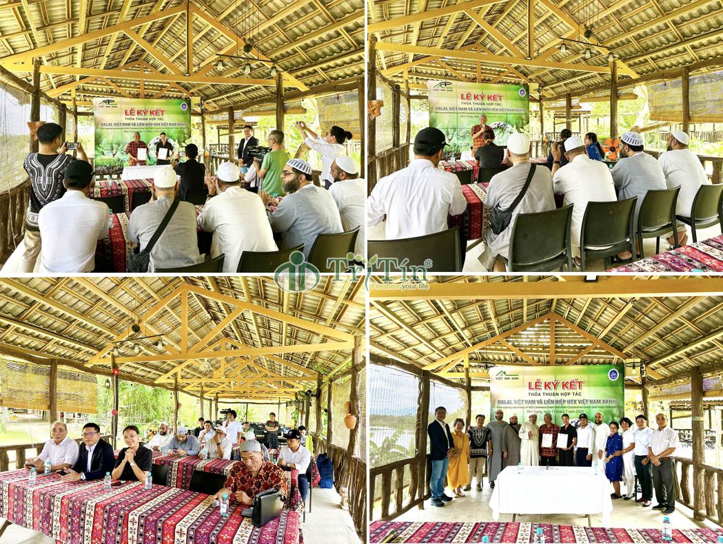 1 Chung tay xây dựng môi trường xanh