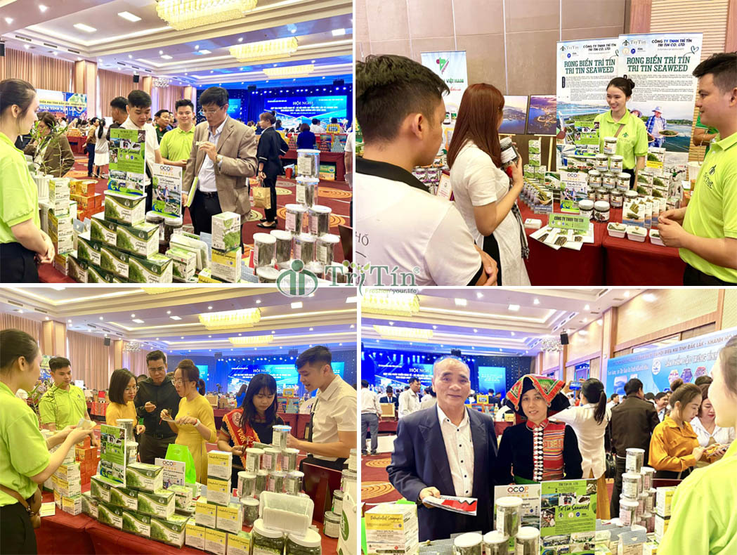 3 Hội nghị hợp tác phát triển giữa khánh hoà vfa daklak