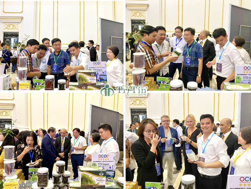 3 Hội nghị công bố quy hoạch và xúc tiến đầu tư tỉnh khánh hoà