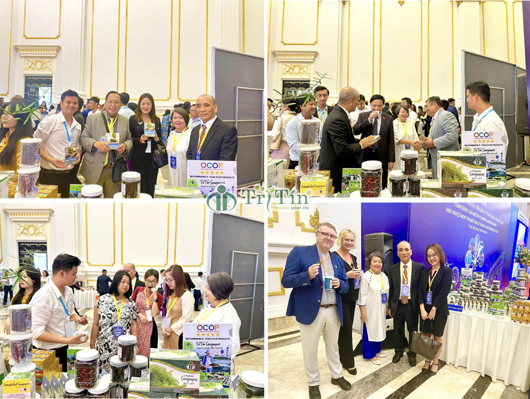 5 Hội nghị công bố quy hoạch và xúc tiến đầu tư tỉnh khánh hoà