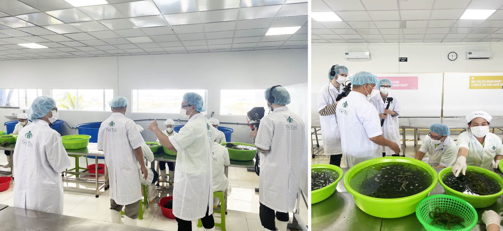 6 Khách Canada quay phóng sự tại xưởng rong nho