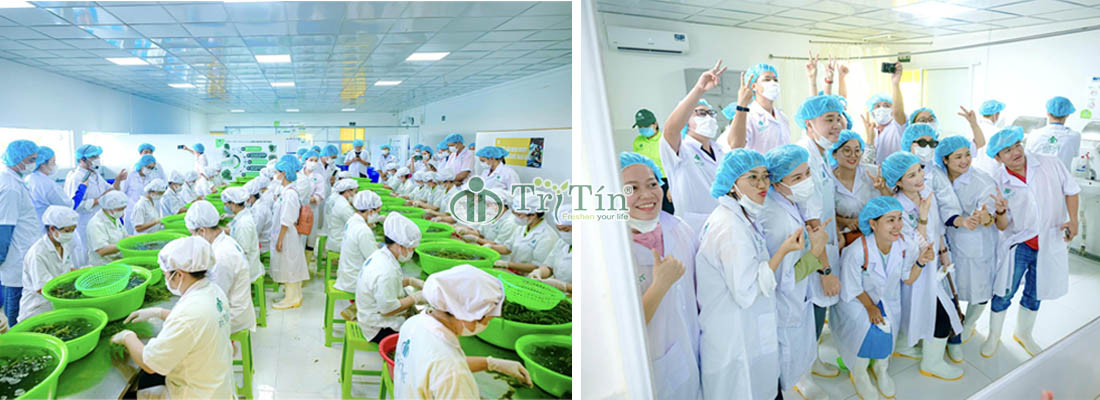 Tham quan nhà xưởng