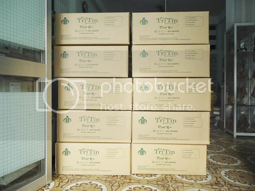 Lô hàng đầu năm 2015