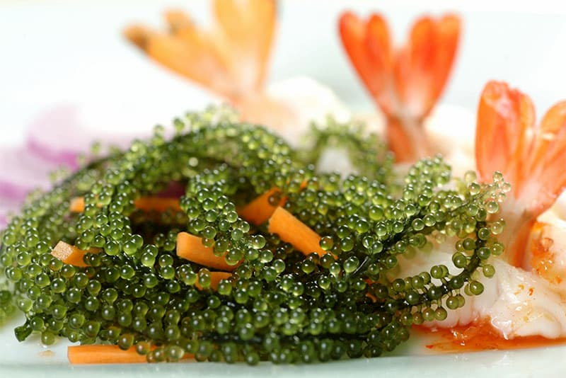 Món ăn từ rong nho 4